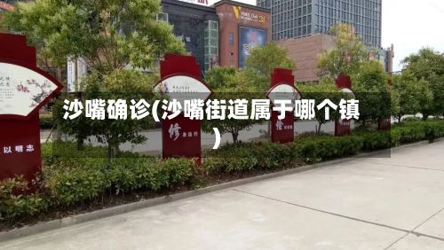 沙嘴确诊(沙嘴街道属于哪个镇)