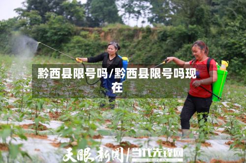 黔西县限号吗/黔西县限号吗现在