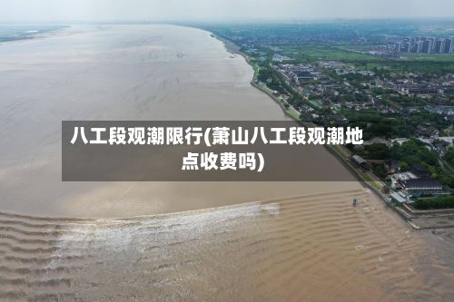 八工段观潮限行(萧山八工段观潮地点收费吗)-第2张图片