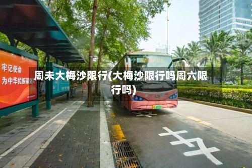 周未大梅沙限行(大梅沙限行吗周六限行吗)-第2张图片