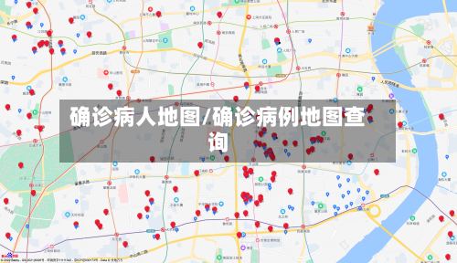 确诊病人地图/确诊病例地图查询