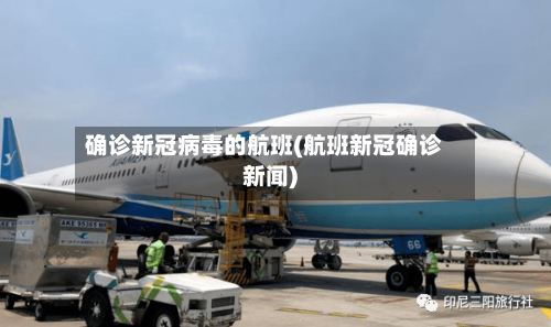 确诊新冠病毒的航班(航班新冠确诊新闻)-第3张图片