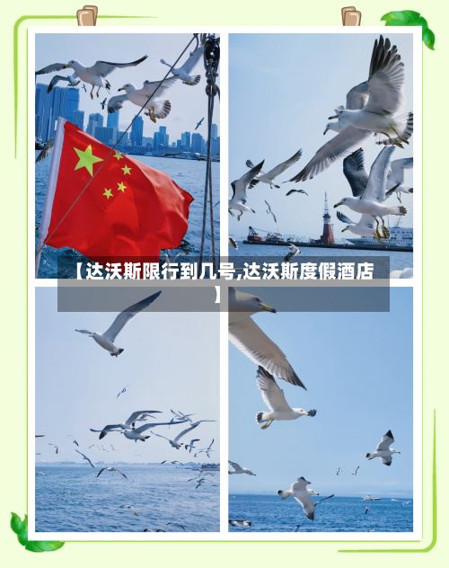 【达沃斯限行到几号,达沃斯度假酒店】-第3张图片