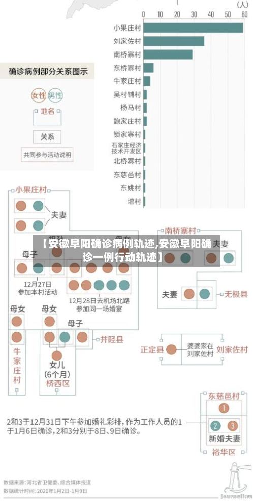 【安徽阜阳确诊病例轨迹,安徽阜阳确诊一例行动轨迹】-第3张图片