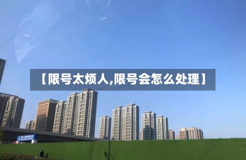 【限号太烦人,限号会怎么处理】-第2张图片