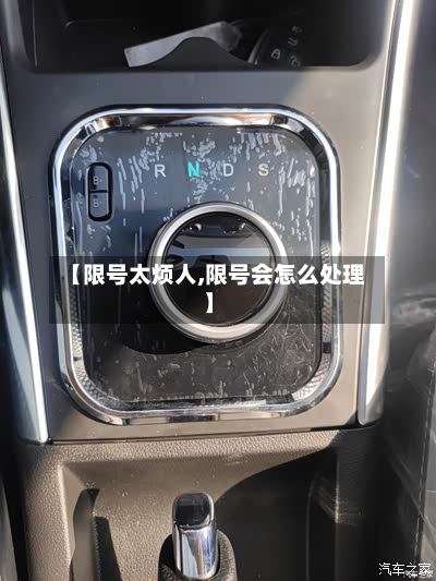 【限号太烦人,限号会怎么处理】