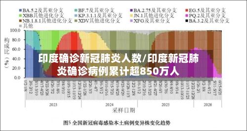 印度确诊新冠肺炎人数/印度新冠肺炎确诊病例累计超850万人