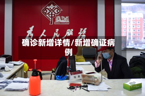 确诊新增详情/新增确证病例