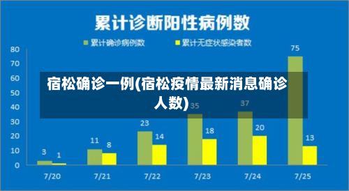 宿松确诊一例(宿松疫情最新消息确诊人数)