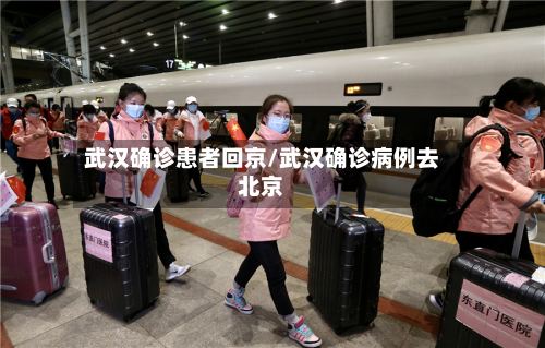 武汉确诊患者回京/武汉确诊病例去北京-第2张图片