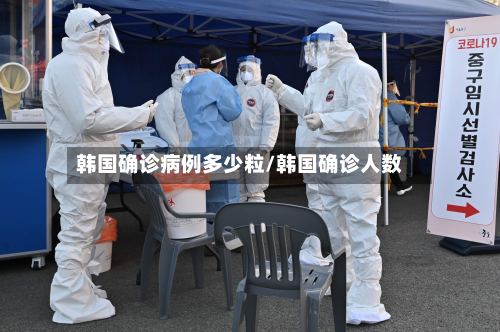 韩国确诊病例多少粒/韩国确诊人数