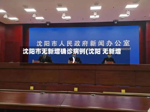 沈阳市无新增确诊病例(沈阳 无新增)-第3张图片