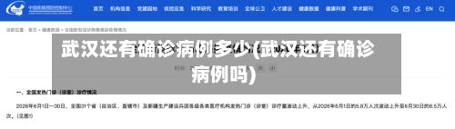 武汉还有确诊病例多少(武汉还有确诊病例吗)-第2张图片