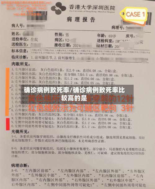 确诊病例致死率/确诊病例致死率比较高的是