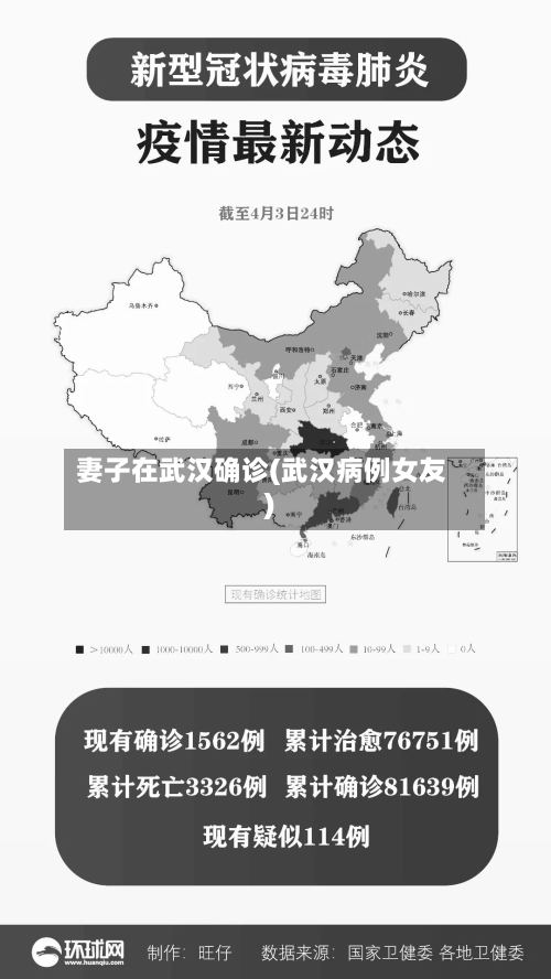 妻子在武汉确诊(武汉病例女友)