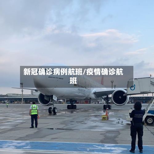 新冠确诊病例航班/疫情确诊航班