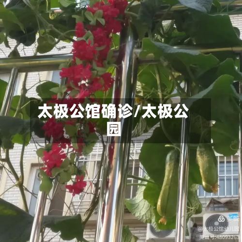 太极公馆确诊/太极公园-第2张图片