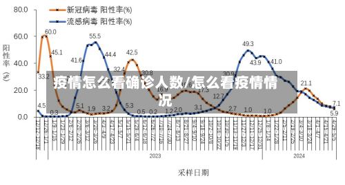 疫情怎么看确诊人数/怎么看疫情情况-第2张图片