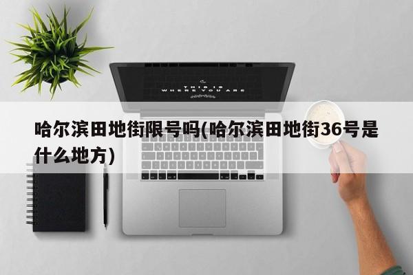 哈尔滨田地街限号吗(哈尔滨田地街36号是什么地方)
