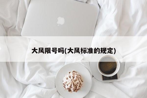 大风限号吗(大风标准的规定)