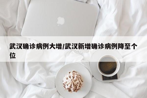 武汉确诊病例大增/武汉新增确诊病例降至个位