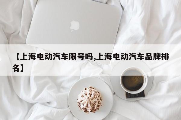 【上海电动汽车限号吗,上海电动汽车品牌排名】