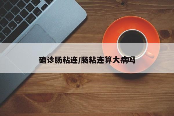 确诊肠粘连/肠粘连算大病吗