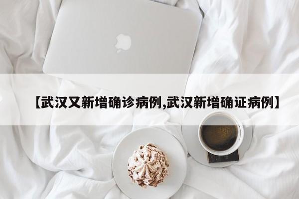 【武汉又新增确诊病例,武汉新增确证病例】