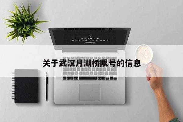关于武汉月湖桥限号的信息