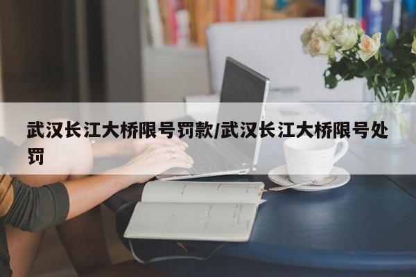 武汉长江大桥限号罚款/武汉长江大桥限号处罚
